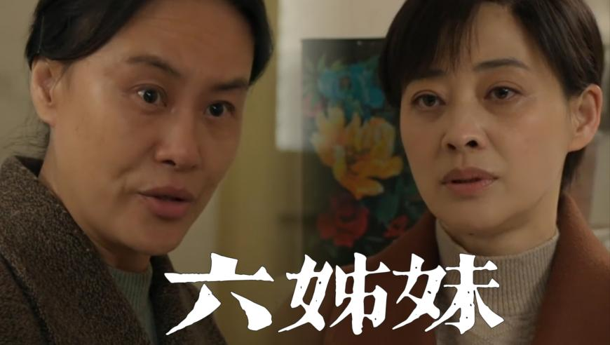 TCL智家2024年净利10.19亿,澳门三肖三码期期准精选1越庙,国产化作答解释落实_专家版V5.7