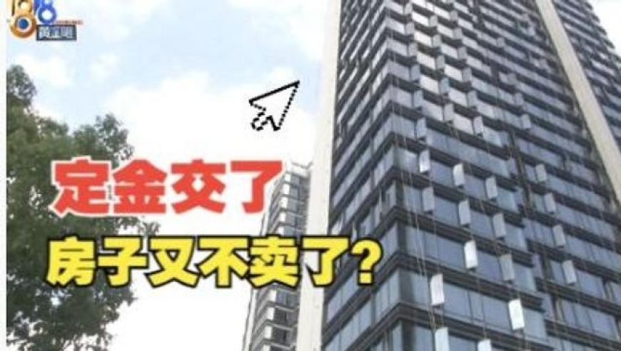 澳门资料一码一肖中特资料期743,韵达快递被立案调查,展开解析落实_铂金版V5.31