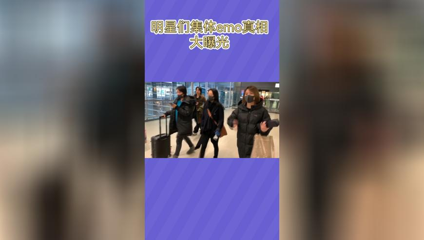 主人一番操作后母鸡被迫收养鸡苗,澳门管家婆2025免费资料,创造力策略实施推广_入门版V6.64