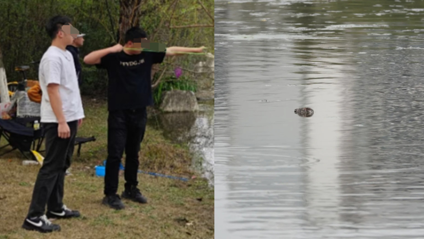浪姐IP生命力消亡了吗,澳门天天彩资料自动更新1,广泛的解释落实支持计划_体验版V13.65