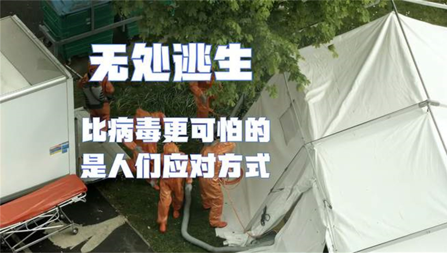 小米汽车回应断轴事件,新澳门2025年资料大全官家婆,精准解释落实及其象征意义_尊享版V2.24